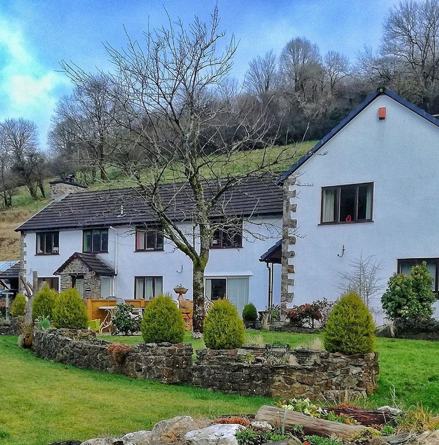Neuadd Wen Guest House Carmarthen Bagian luar foto