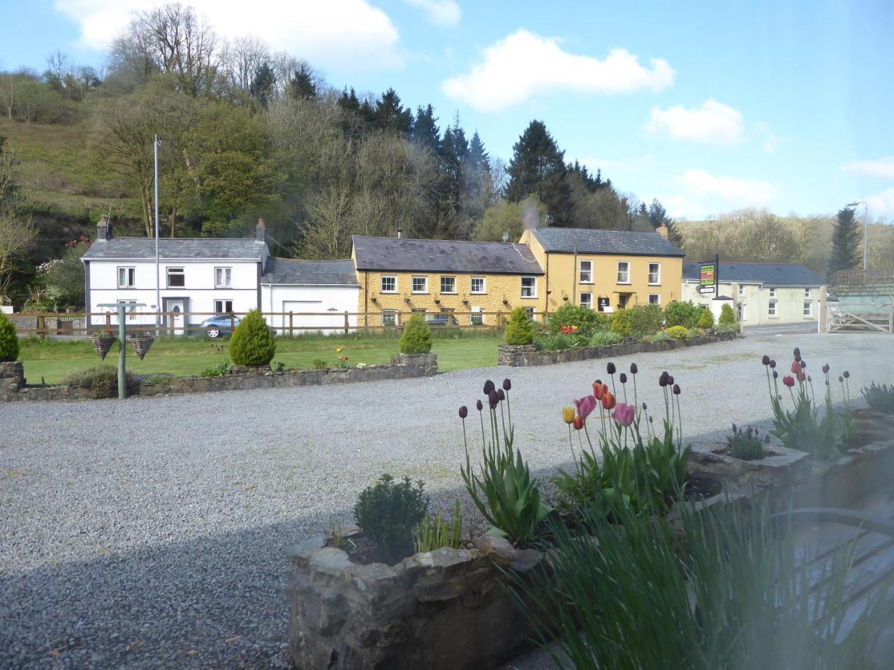 Neuadd Wen Guest House Carmarthen Bagian luar foto