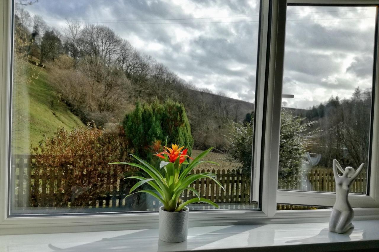 Neuadd Wen Guest House Carmarthen Bagian luar foto